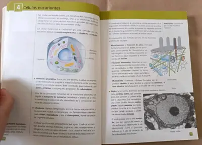 Libros de Biología I y II Santillana - miniatura 2