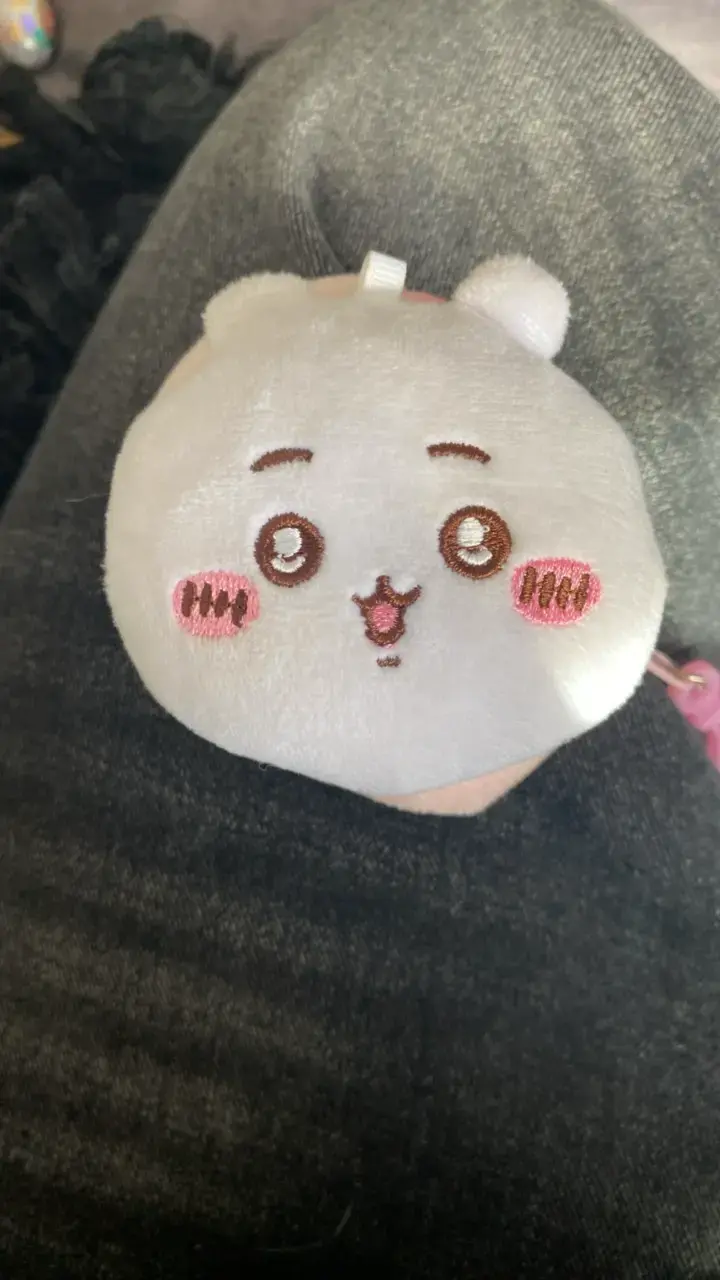 Monedero de peluche con diseño de chikawa