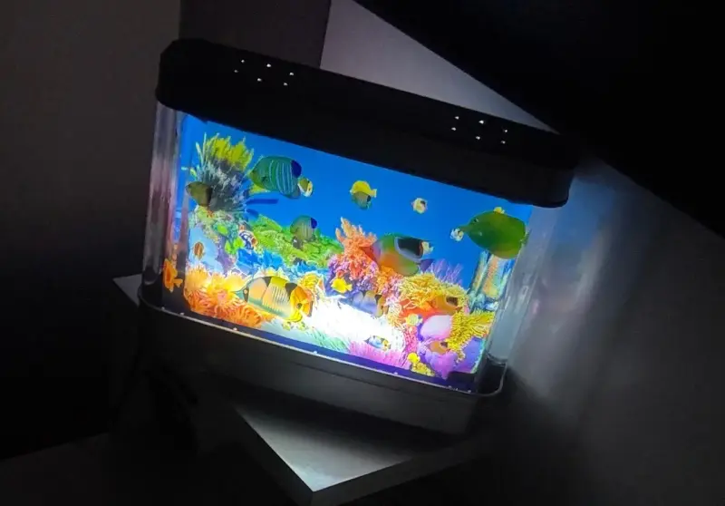 Acuario decorativo con iluminación LED - 2