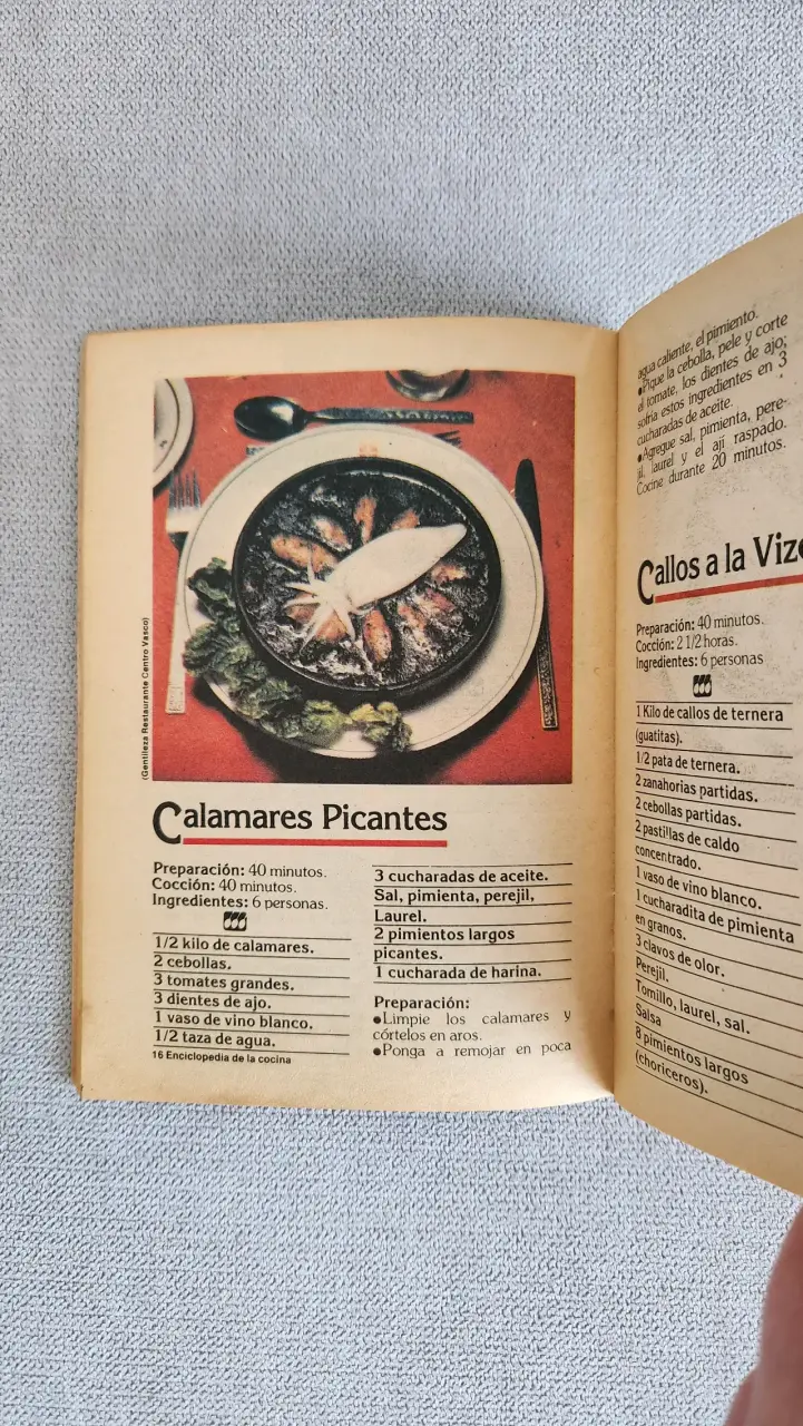Recetario vintage Enciclopedia de la Cocina - 4