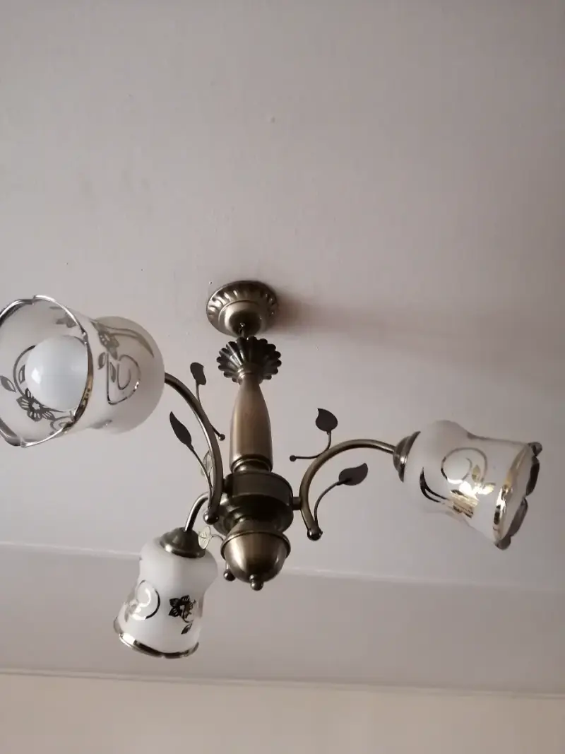 Lámpara de Techo Vintage con Tulipas Decorativas - 3