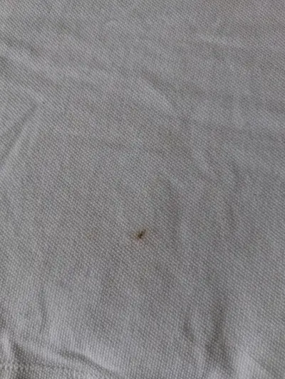 Polera Polo Nautica Azul y Blanca Talla XXL - miniatura 2