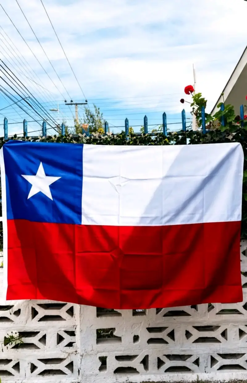 Bandera de Chile - 1