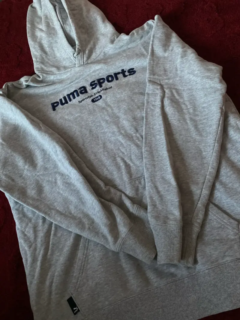 Polerón con capucha gris Puma Sports