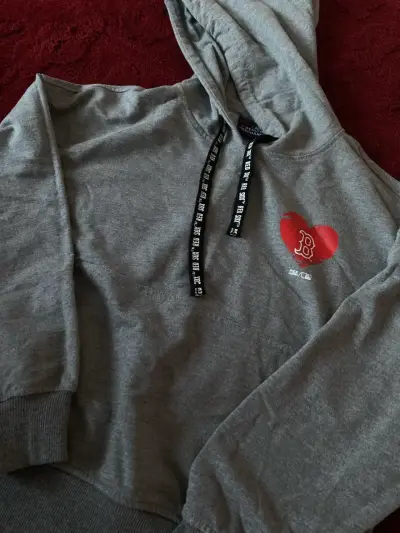 Polerón con capucha gris Red Sox - miniatura 1