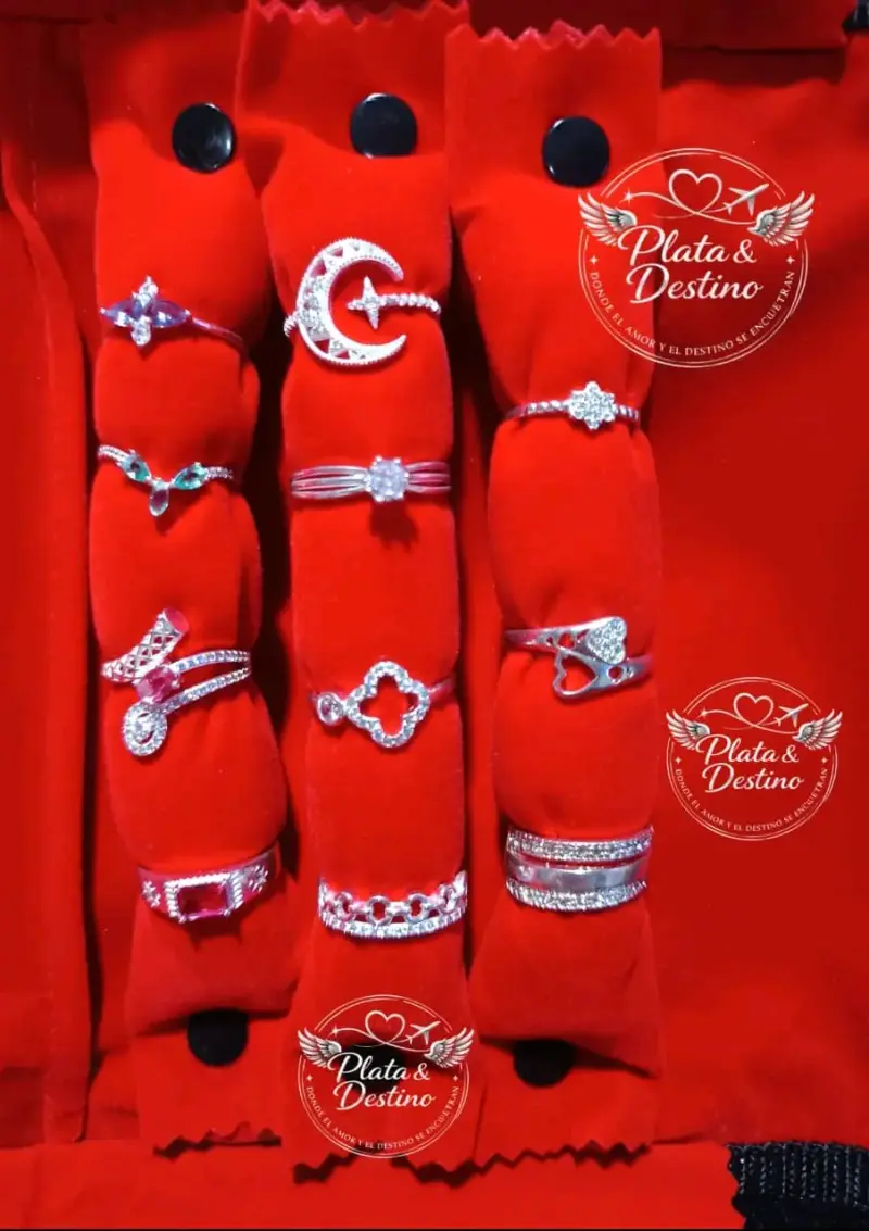 Set de Joyas de Plata con Diseño Moderno - 2