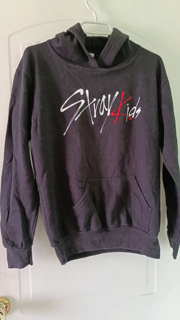 Polerón negro Stray Kids con capucha - 1