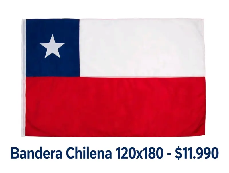 Bandera Chilena 60x90 cm Tela Resistente - 5