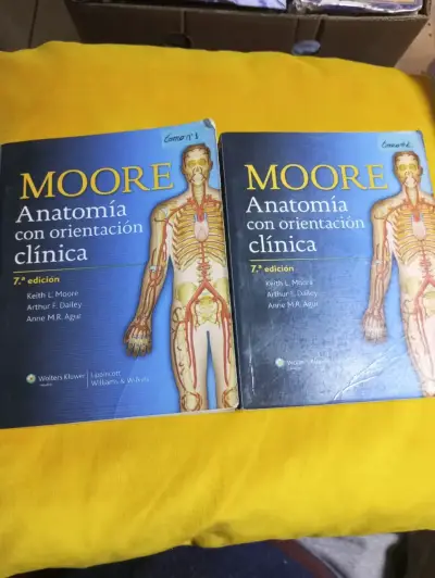 Vendo conjunto de Tomo 1 y Tomo 2 del libro "Anato - miniatura 1