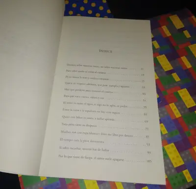 Yo, Violeta - Mónica Echeverría - miniatura 3