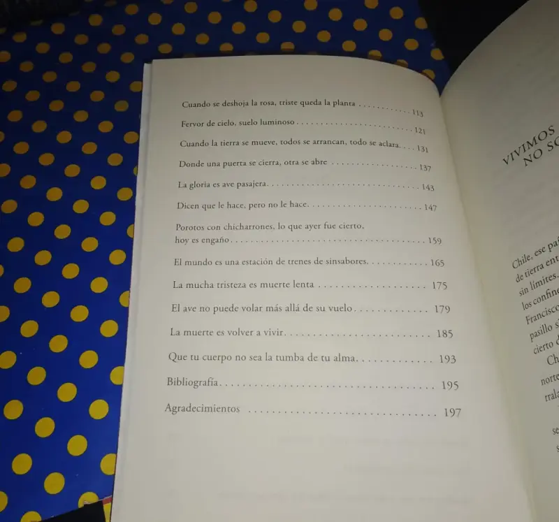 Yo, Violeta - Mónica Echeverría - 4
