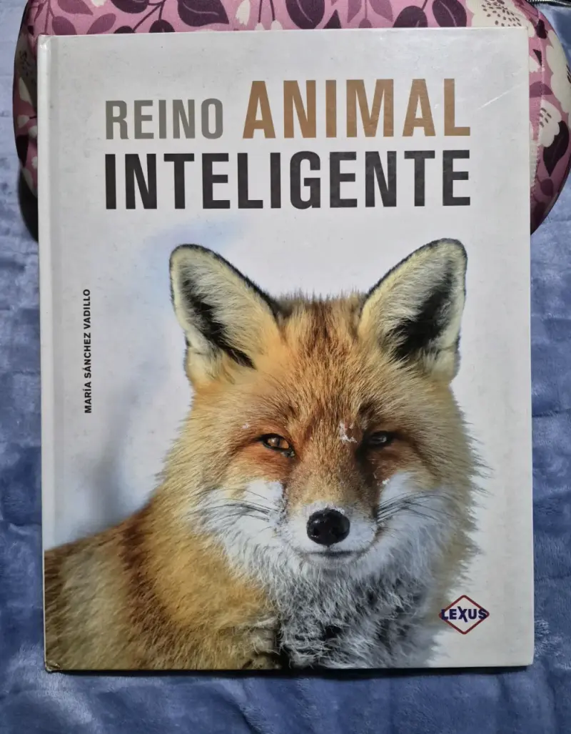 Libro Reino Animal Inteligente