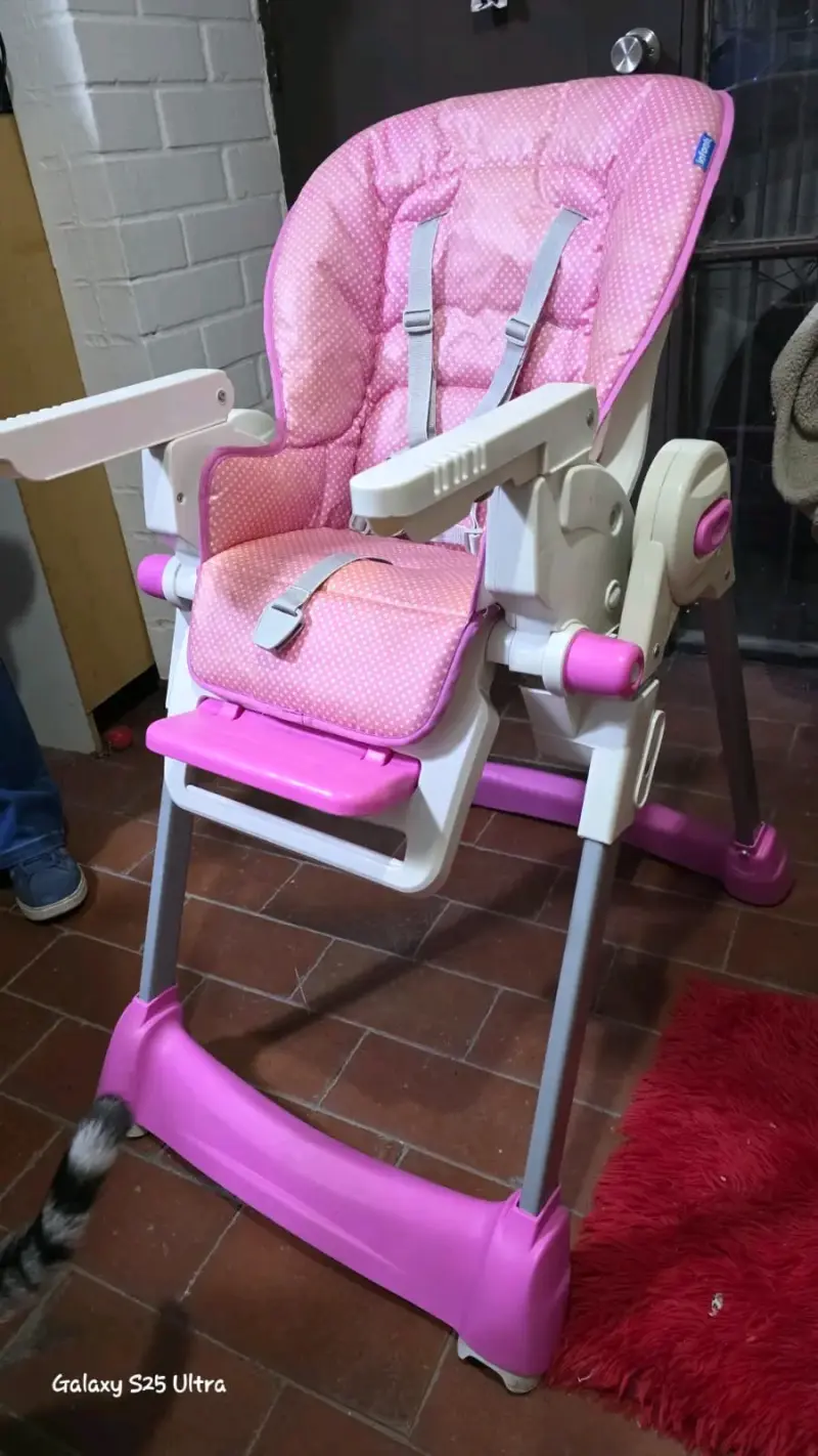 Silla de Comer para Bebé Infanti Rosa - 2