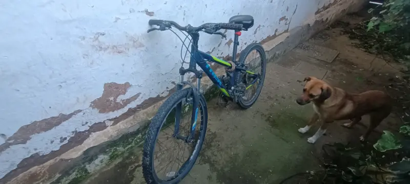 Bicicleta Trek de Montaña Azul y Verde - 2