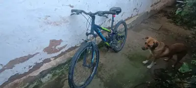 Bicicleta Trek de Montaña Azul y Verde - miniatura 2