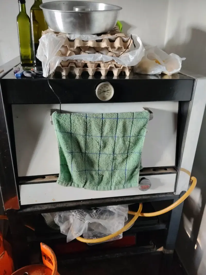 Horno industrial a gas con termómetro - 2
