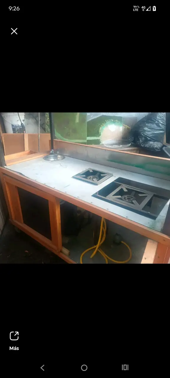 Carro de Comida Rápida con Parrilla y Ruedas - 2