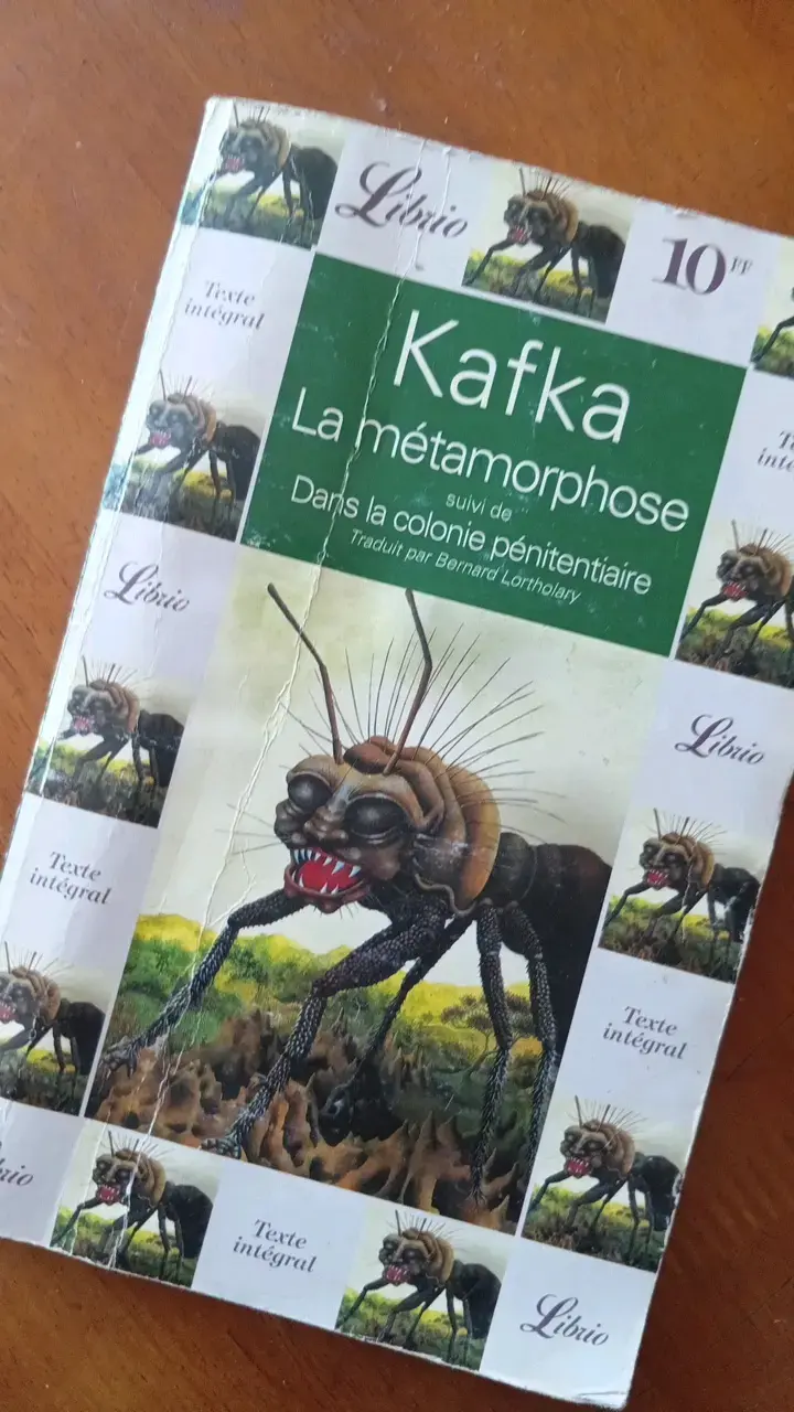 Libros clásicos de Albert Camus y Franz Kafka - 2