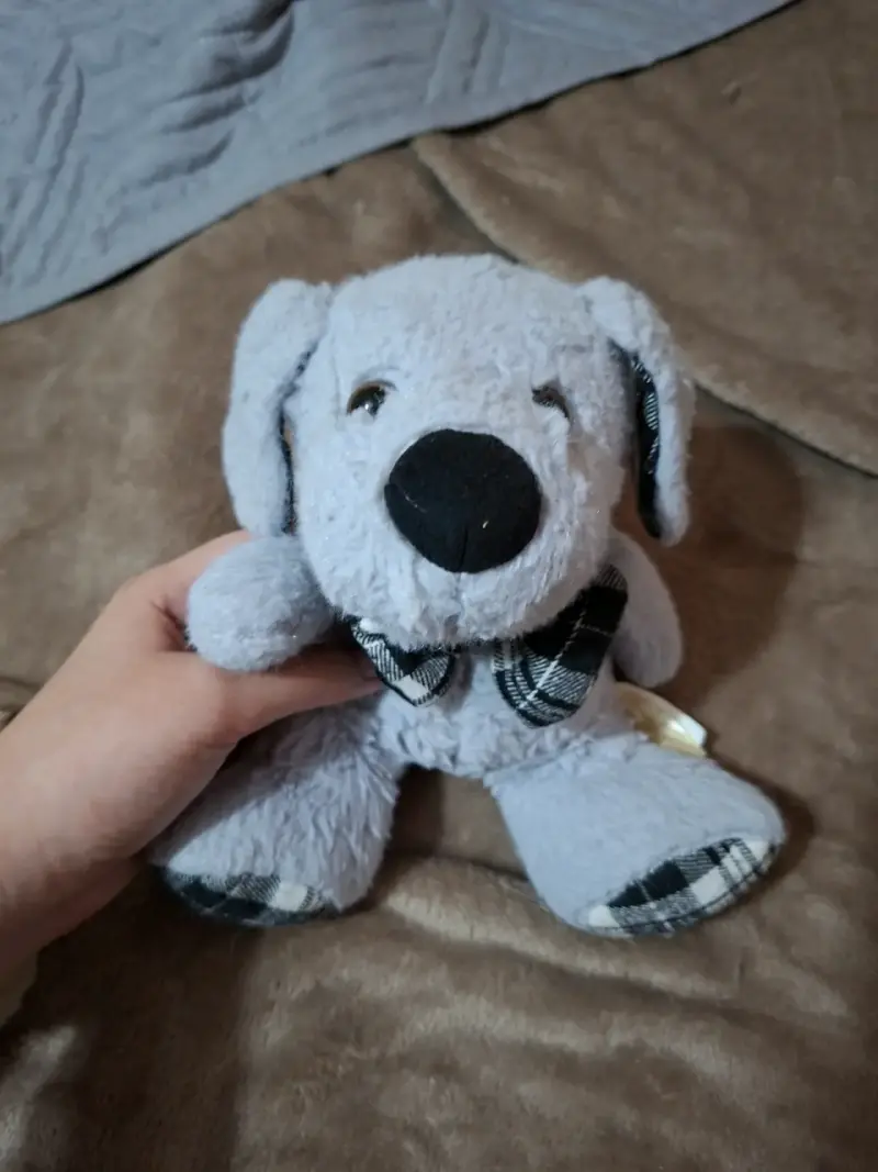 Peluches y juguetes - 4