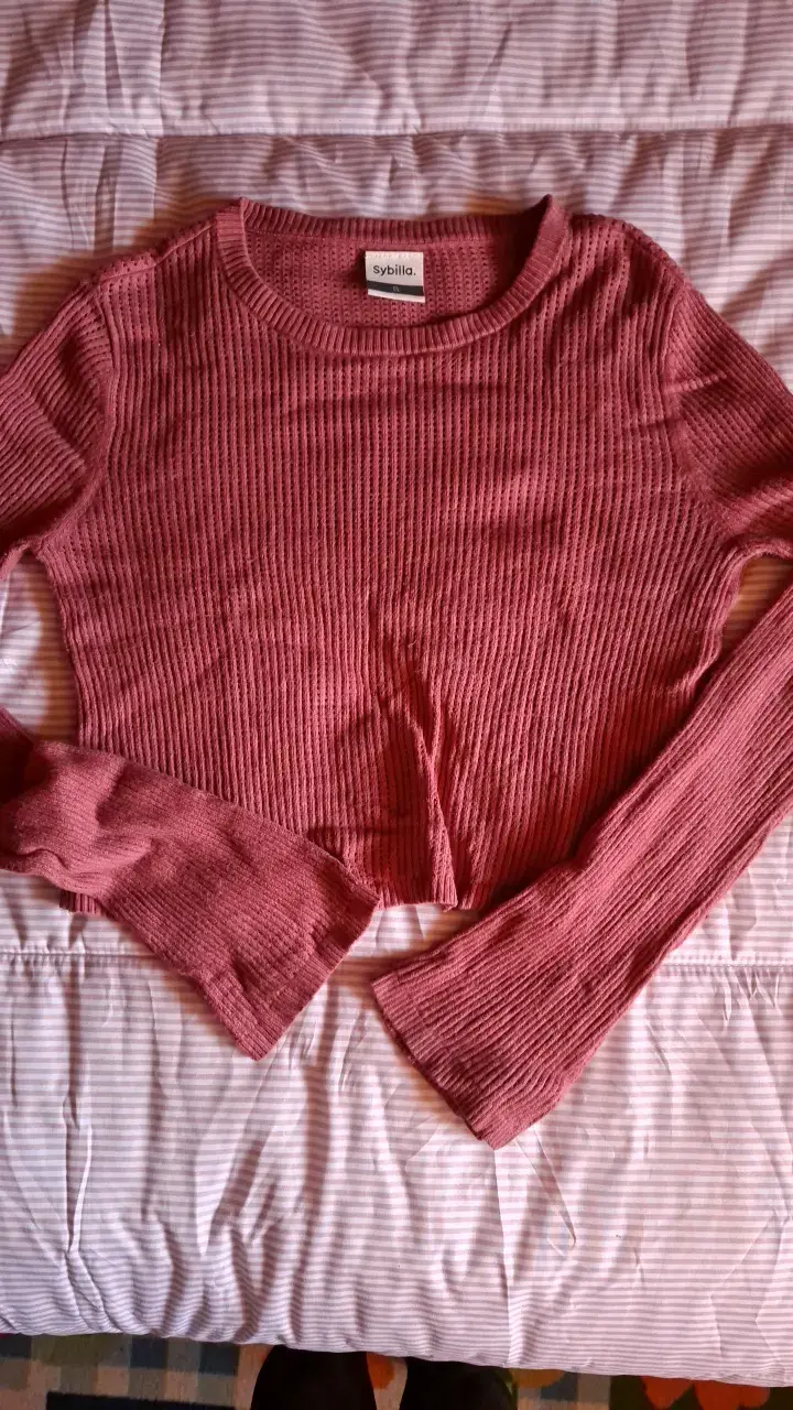 Polera manga larga rosada Sybilla