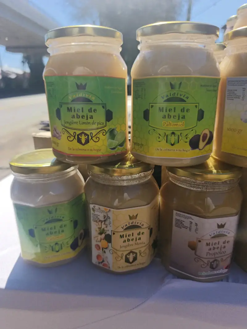 Miel de Abeja Valdivia 1000g Variados Sabores - 2