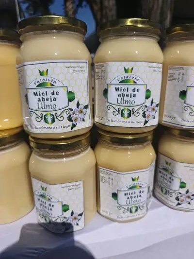 Miel de Abeja Valdivia 1000g Variados Sabores - miniatura 3