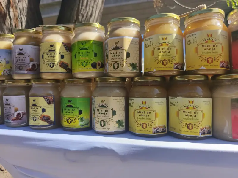 Miel de Abeja Valdivia 1000g Variados Sabores - 5