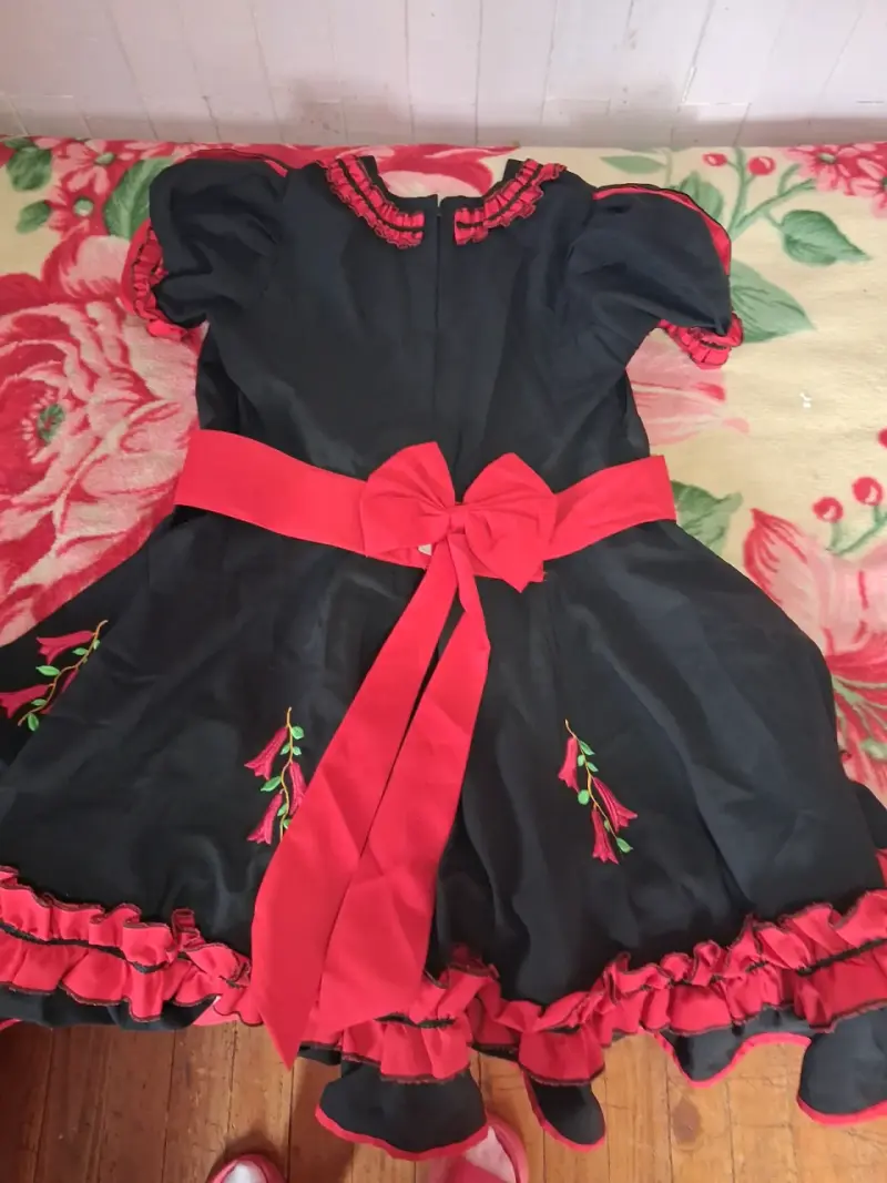 Vestido típico chileno con bordados - 2