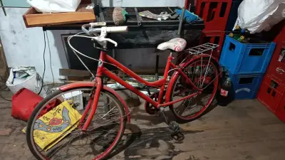Bicicleta urbana roja con parrilla trasera - miniatura 2