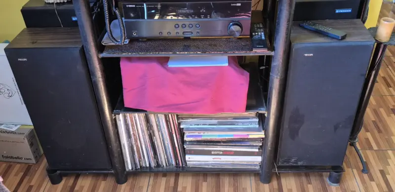Parlantes Philips 2 vías modelo 22AH409/00Z - 2