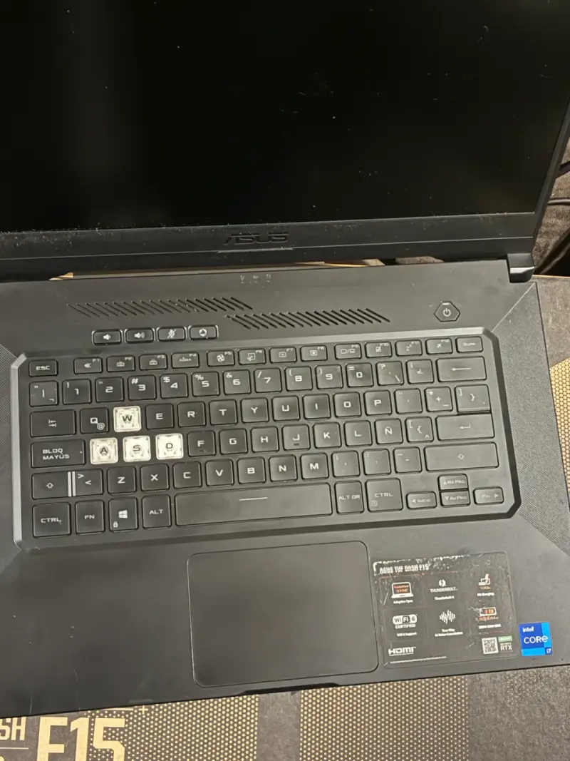 Notebook gamer ASUS TUF Dash F15 - 2