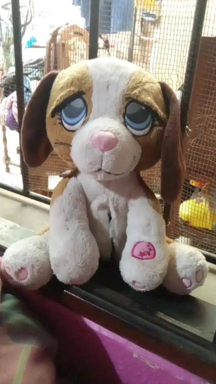 Peluche de perro con ojos grandes
