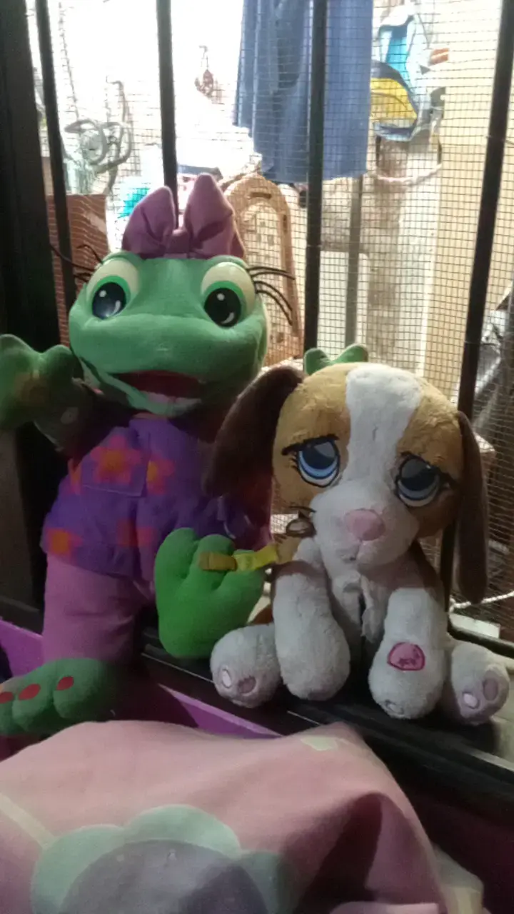 Los dos x 1000 pesos