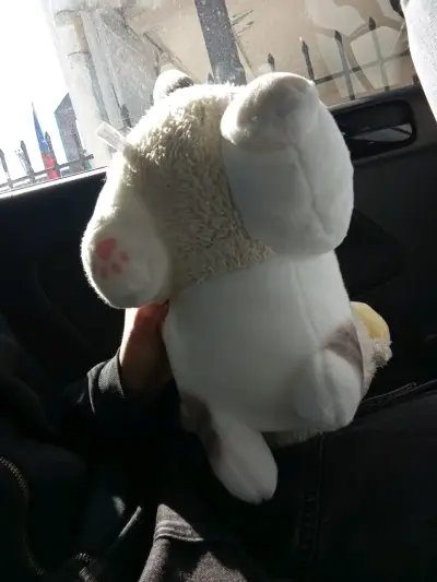 Peluche de gato con orejas de cordero - miniatura 1