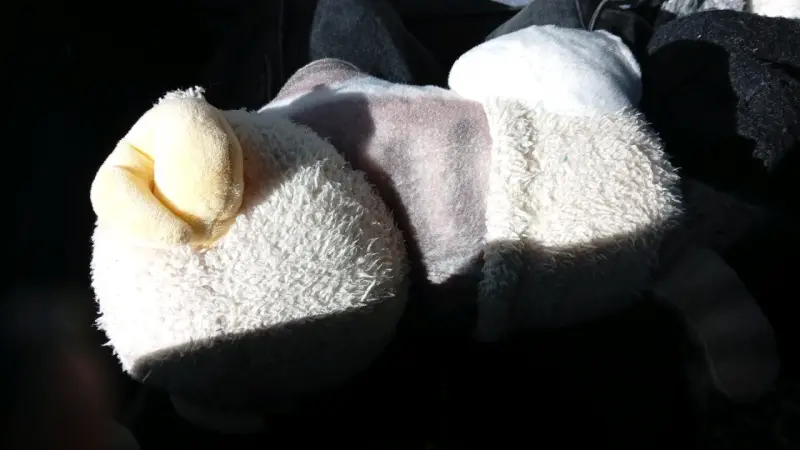 Peluche de gato con orejas de cordero - 3