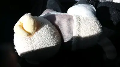 Peluche de gato con orejas de cordero - miniatura 3