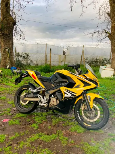 Moto deportiva amarilla Pulsar en buen estado - miniatura 1