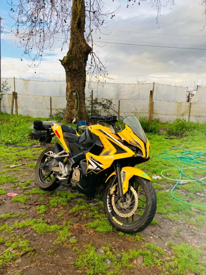 Moto deportiva amarilla Pulsar en buen estado - 2