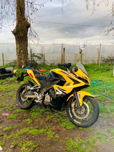 Moto deportiva amarilla Pulsar en buen estado - miniatura 5
