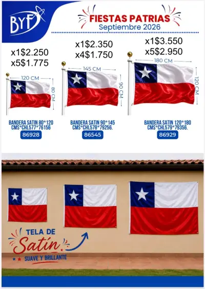 Artículos de fiestas patrias - miniatura 1
