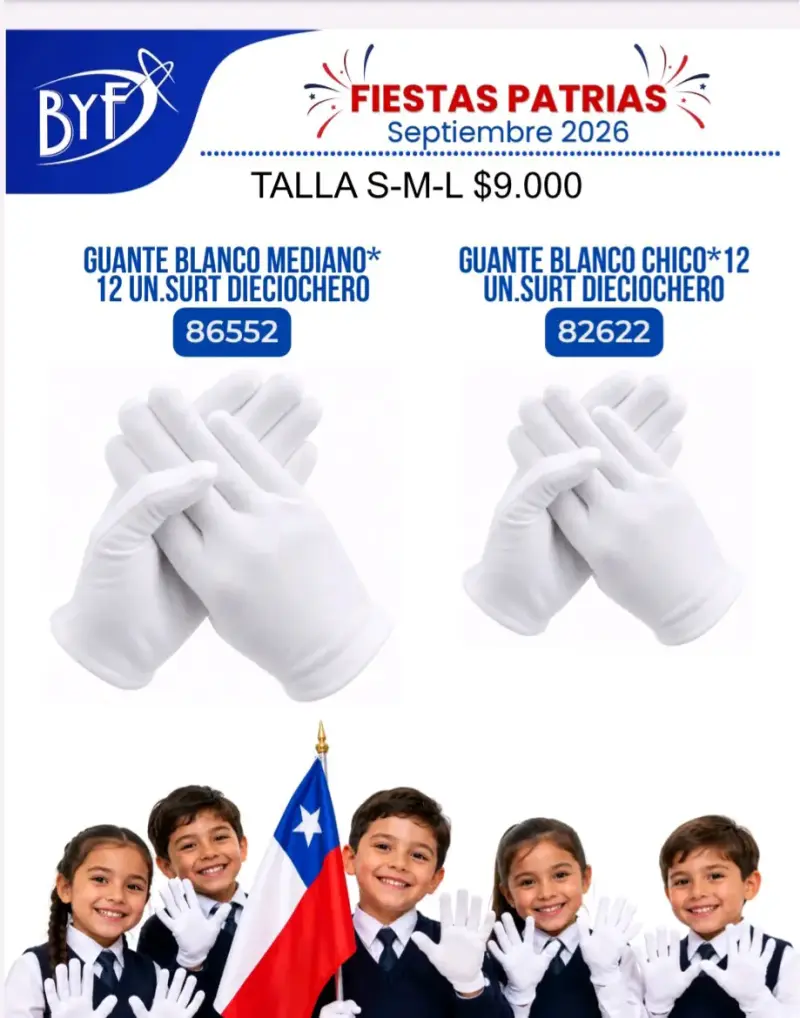 Artículos de fiestas patrias - 5