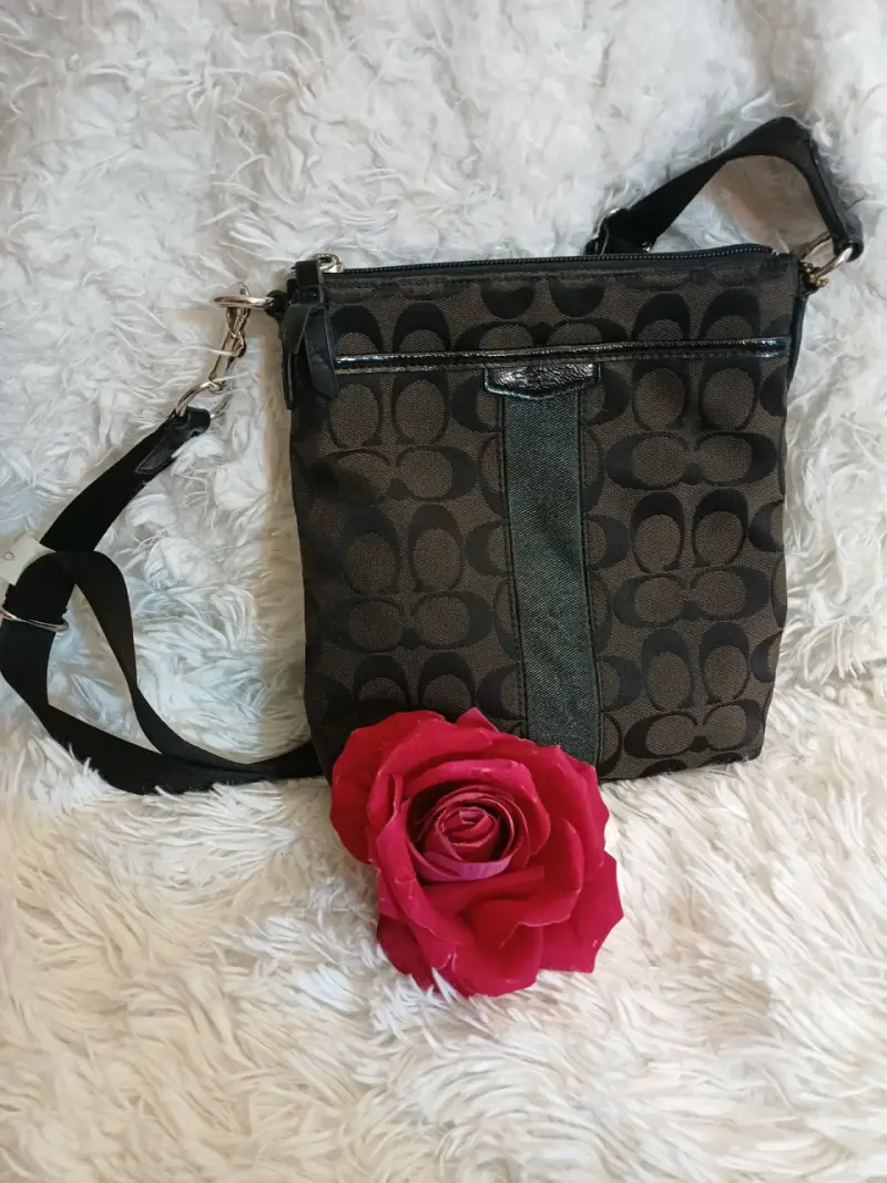 Bolso bandolera Coach estampado clásico