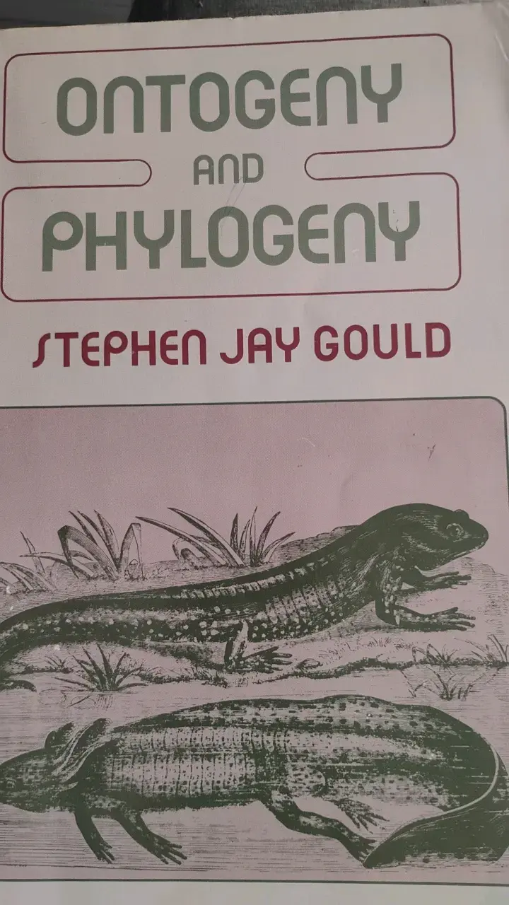 Libro Ontogeny and Phylogeny de Stephen Jay Gould - 1