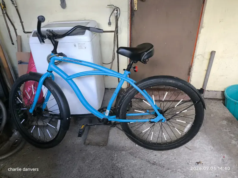 Bicicleta cruiser single speed freno torpedo - 1