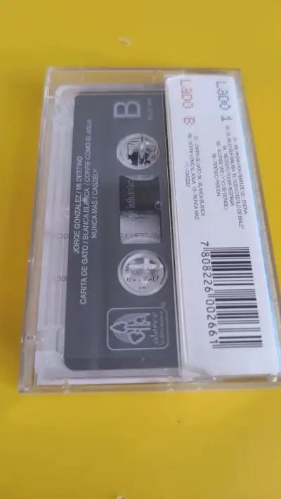 Cassette Jorge González Mi Destino - miniatura 2