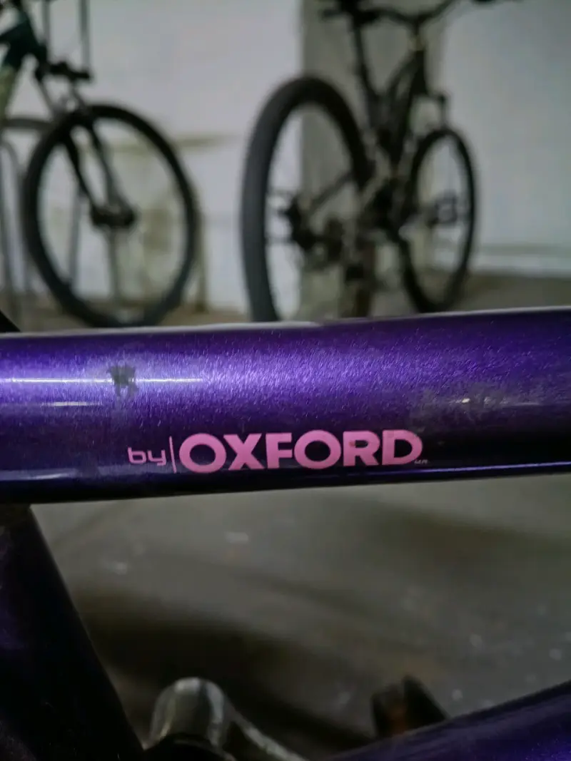 Bicicleta urbana morada con canasto Oxford Frontier - 3