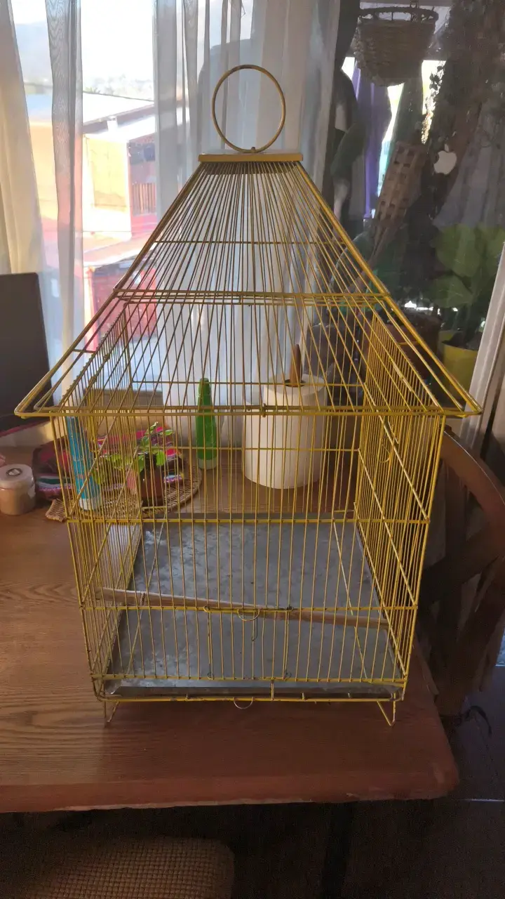 Jaula para pájaros amarilla de metal - 2