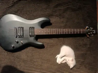 Guitarra eléctrica Schecter negra - miniatura 1