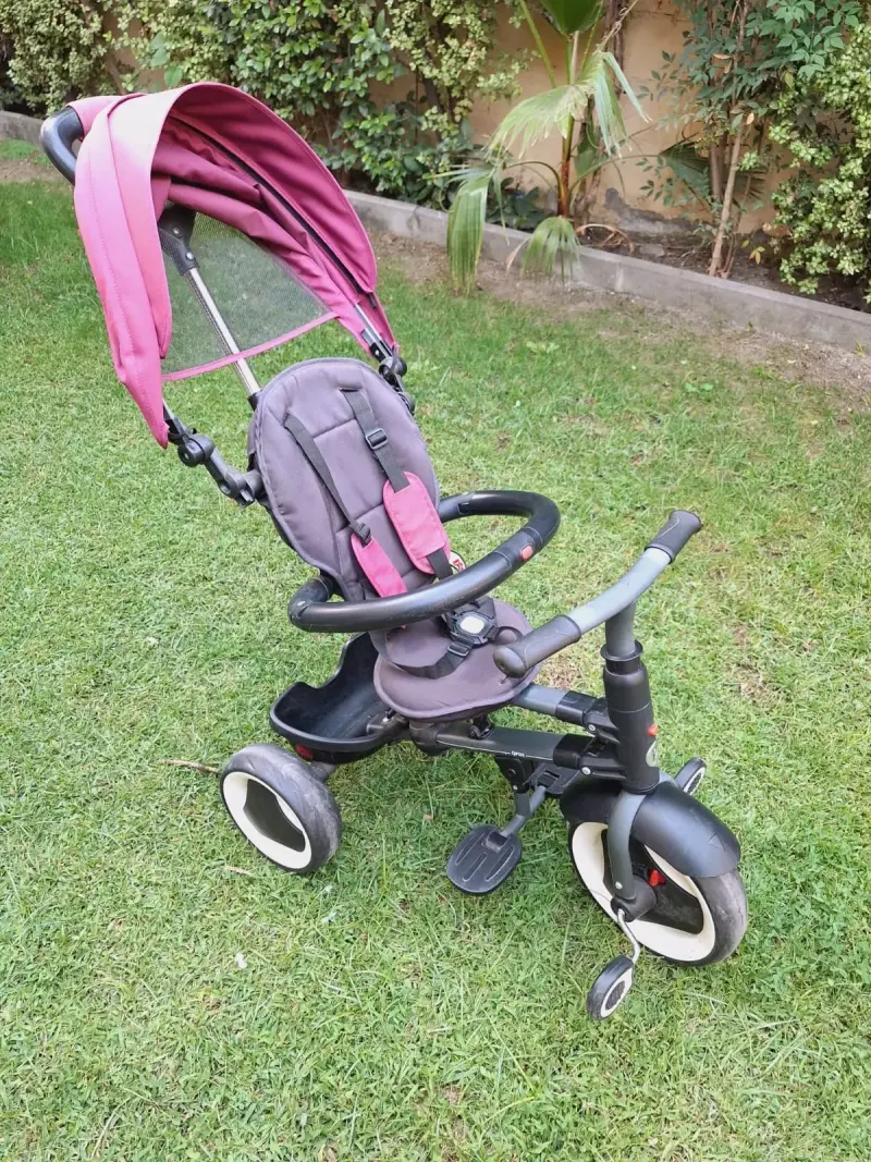Triciclo para niños QPlay Rito con capota plegable - 2