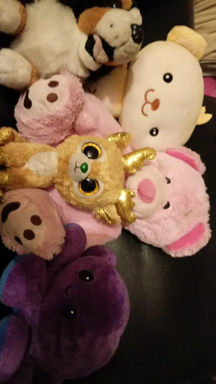 Set de Peluches Variados para Niños - 3